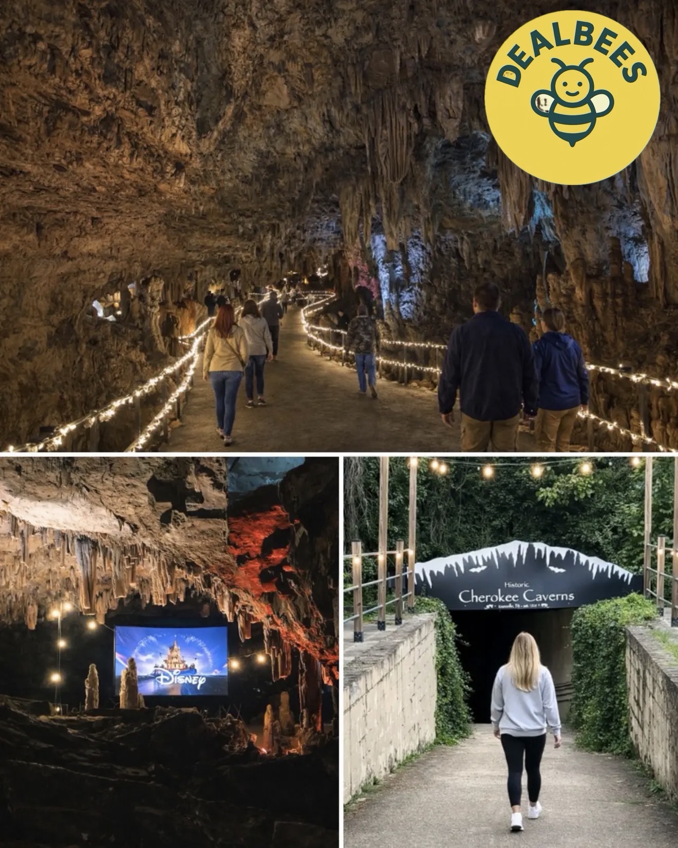 Watch Movie Inside A Cave